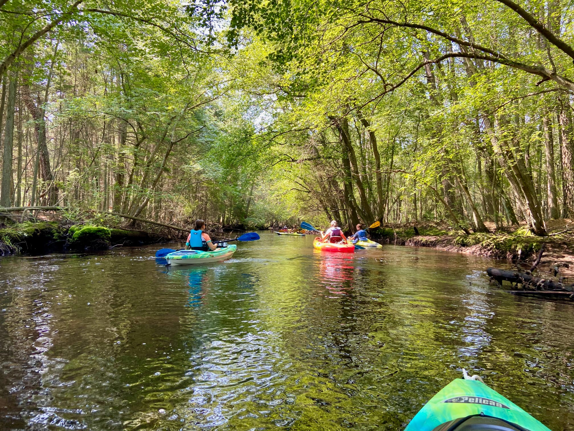 Gliding down the Wading River in the Pine Barrens of NJ.