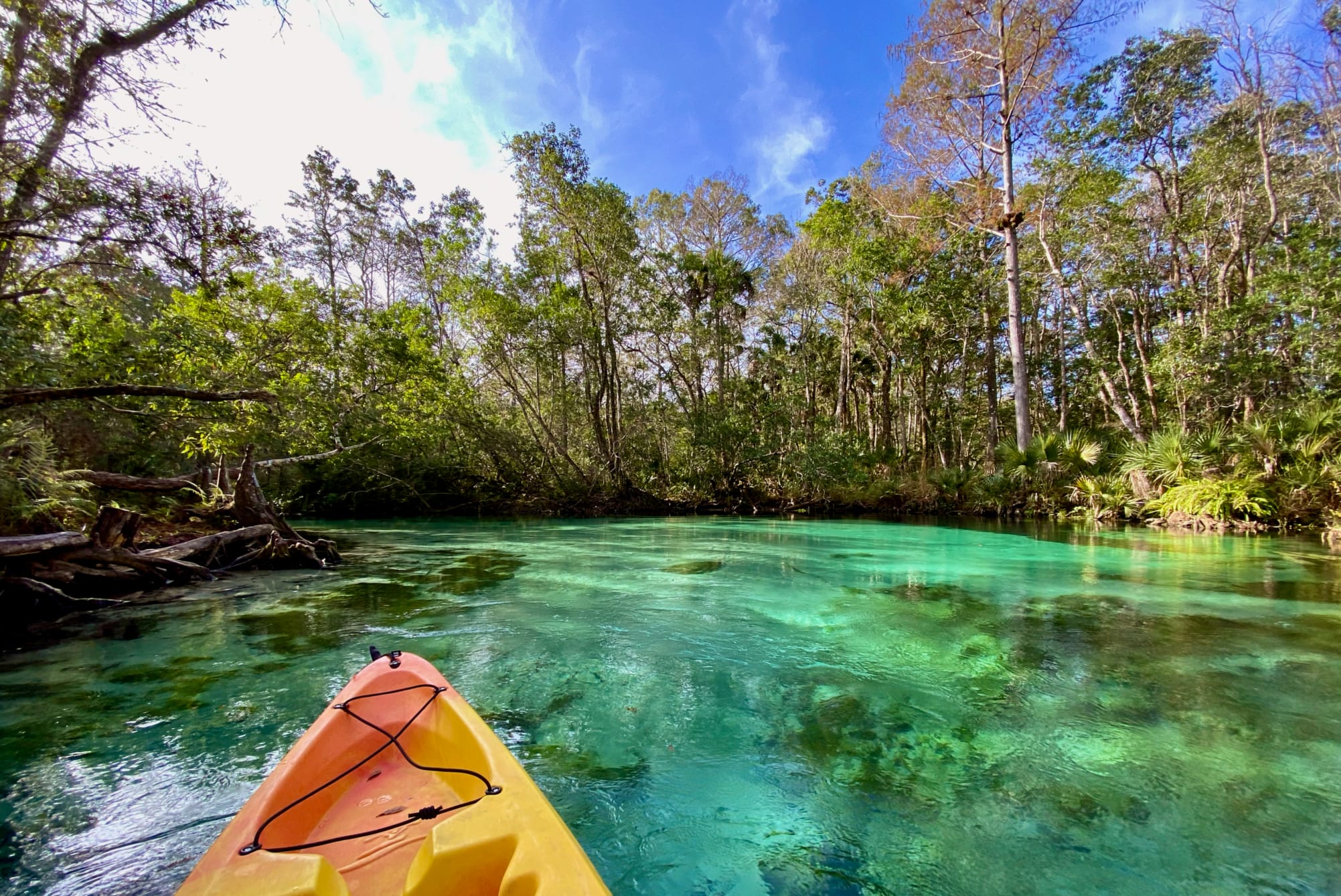 Weeki Wachee State Park on the west coast of Florida.
